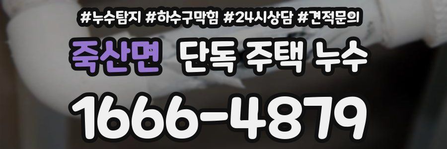 죽산면 단독 주택 누수