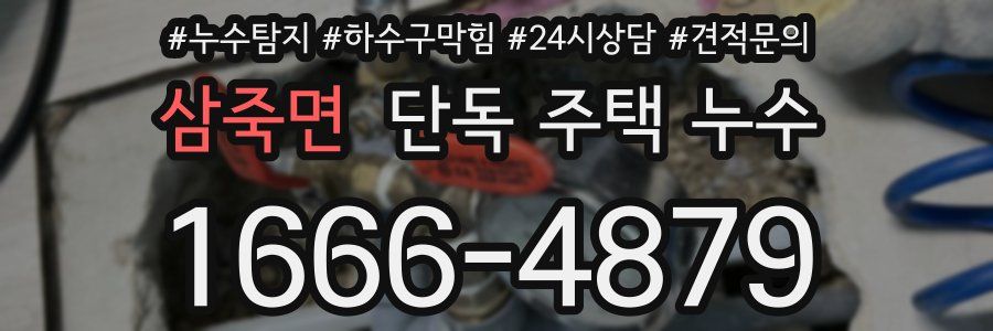 삼죽면 단독 주택 누수