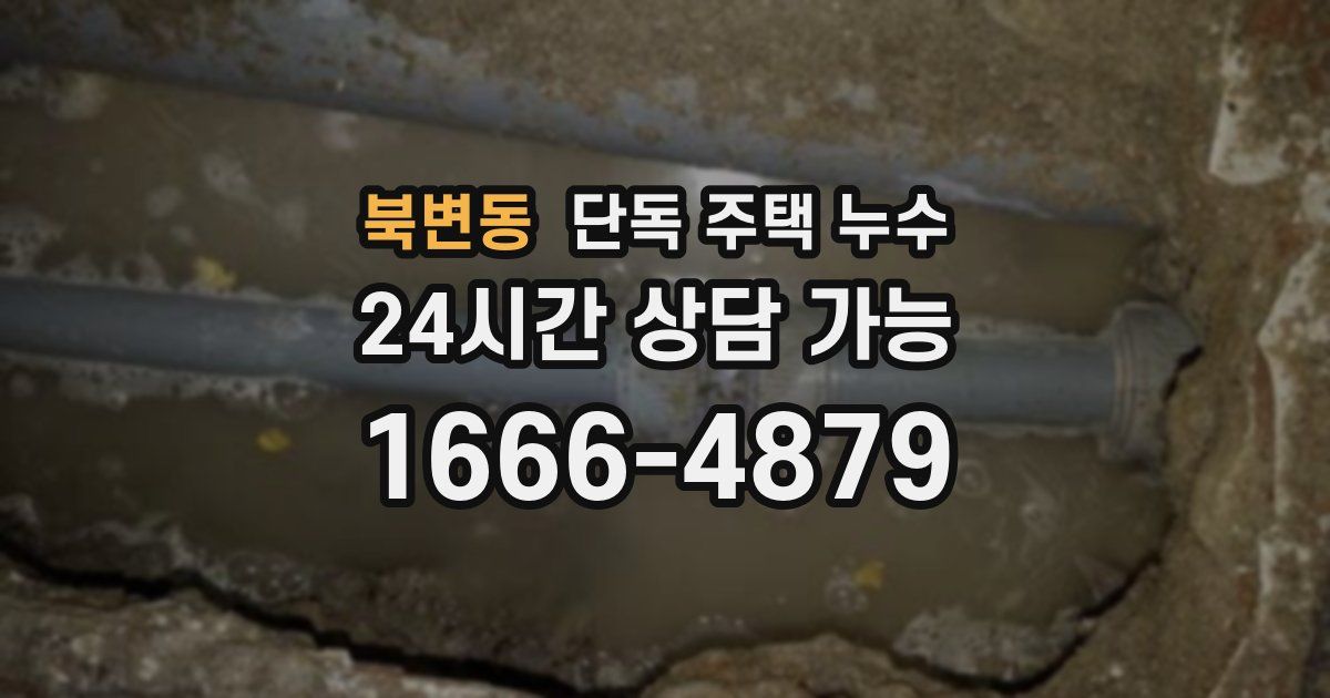 북변동 단독 주택 누수