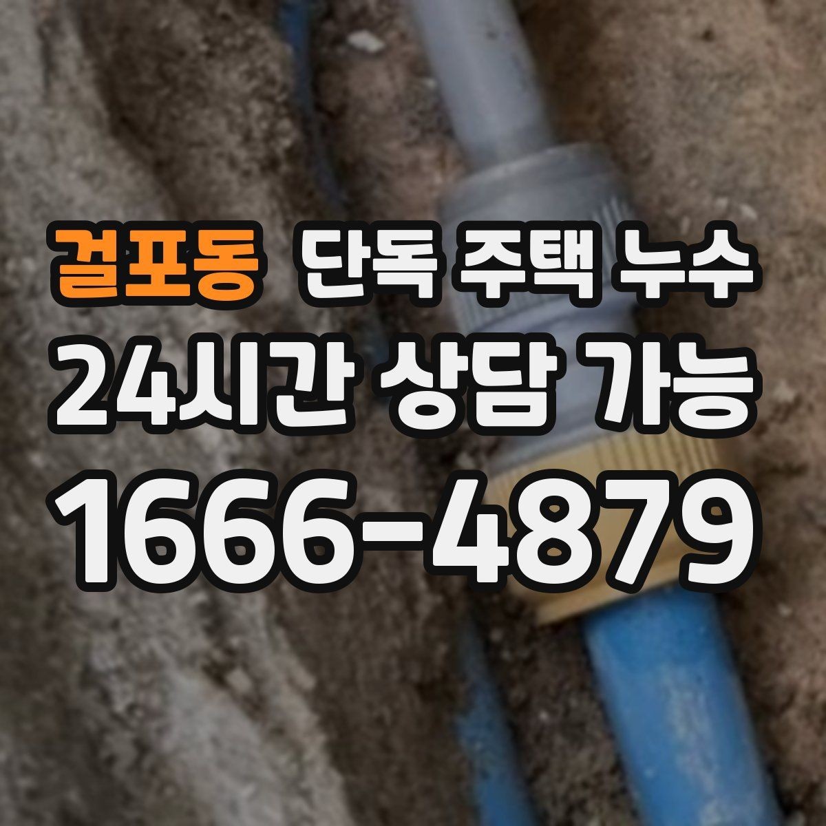걸포동 단독 주택 누수 곰팡이만 생기고 물자국은 없을 때
