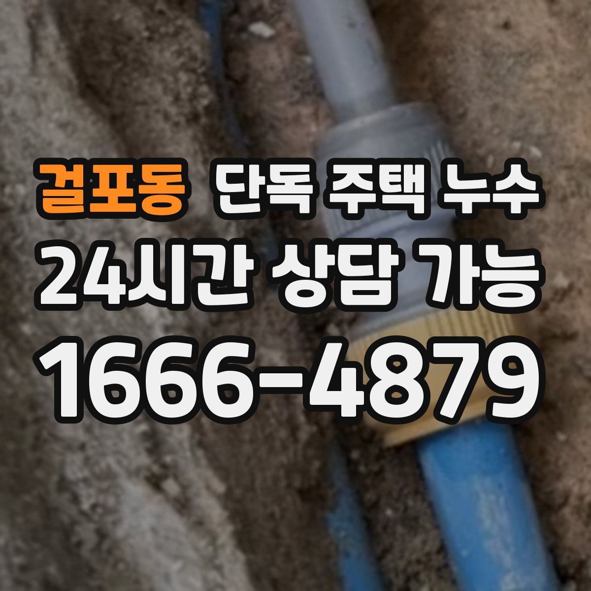 걸포동 단독 주택 누수