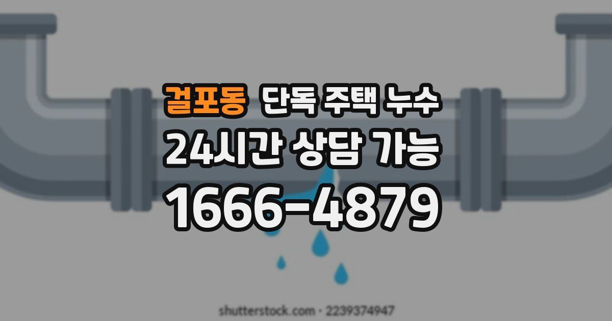 걸포동 단독 주택 누수