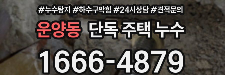 운양동 단독 주택 누수