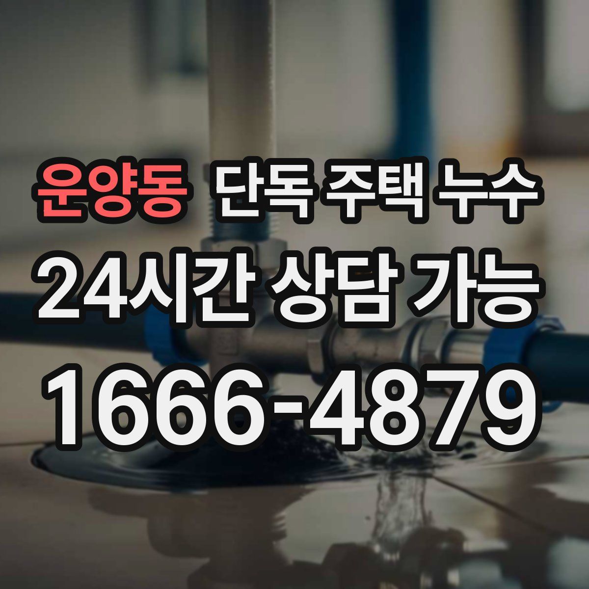 운양동 단독 주택 누수