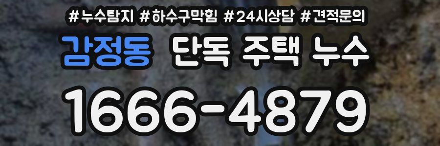 감정동 단독 주택 누수