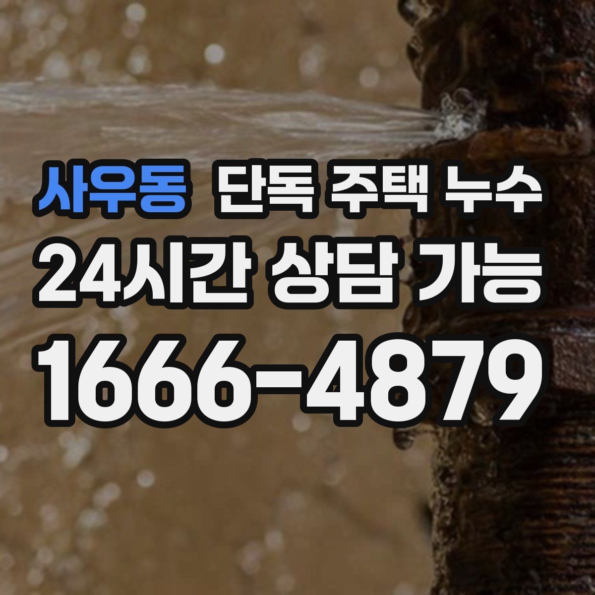 사우동 단독 주택 누수 싱크대 뒤 벽면 변색이 생겼을 때
