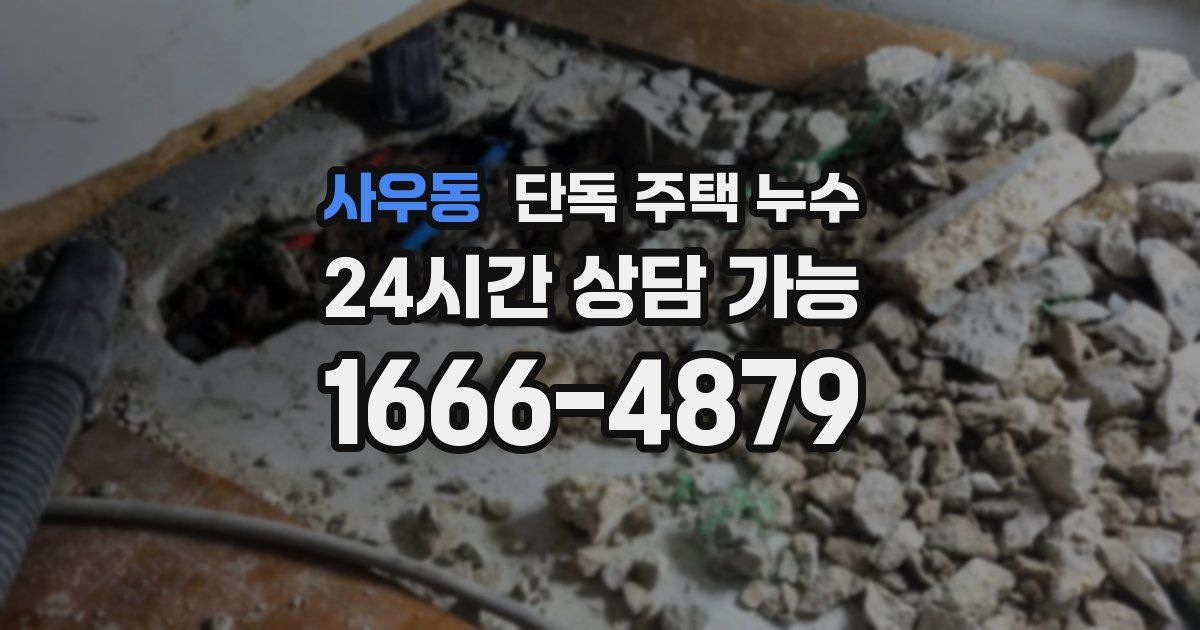사우동 단독 주택 누수