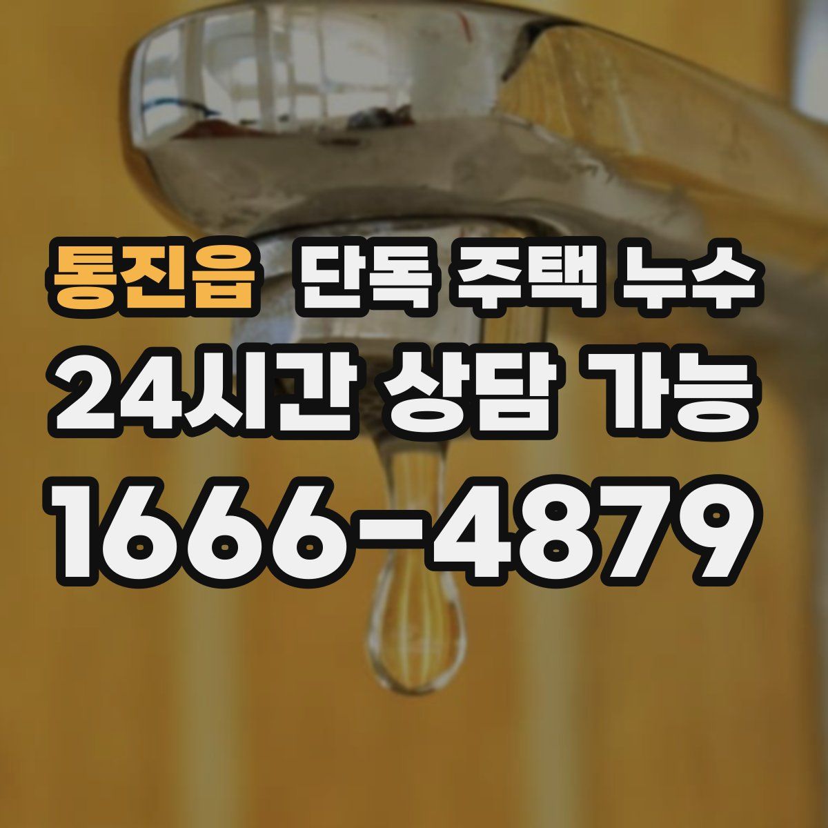 통진읍 단독 주택 누수