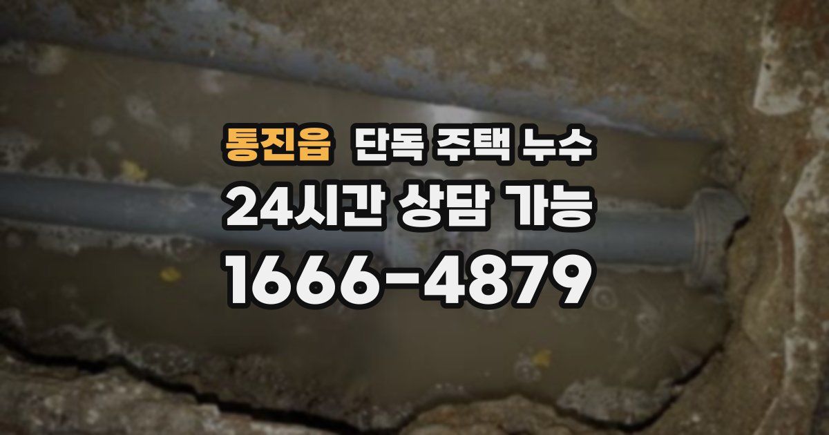 통진읍 단독 주택 누수