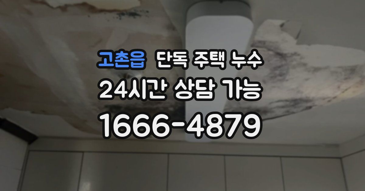 고촌읍 단독 주택 누수