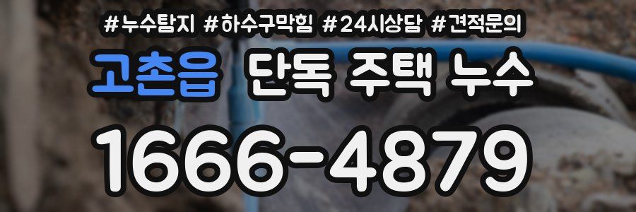 고촌읍 단독 주택 누수