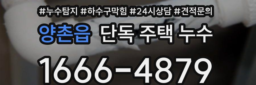 양촌읍 단독 주택 누수