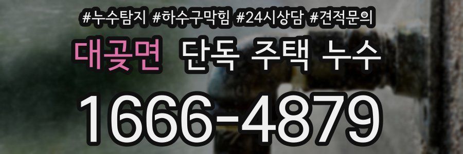 대곶면 단독 주택 누수