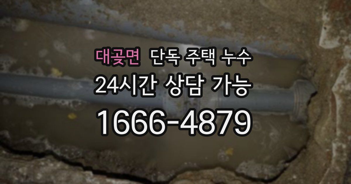 대곶면 단독 주택 누수