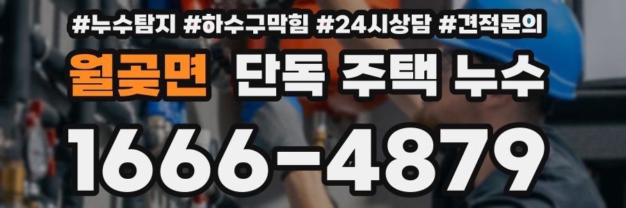 월곶면 단독 주택 누수