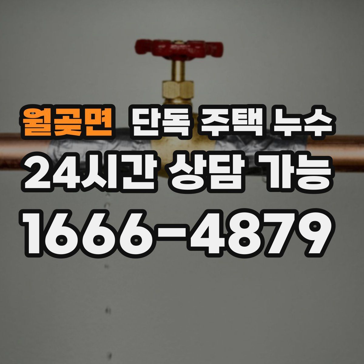월곶면 단독 주택 누수