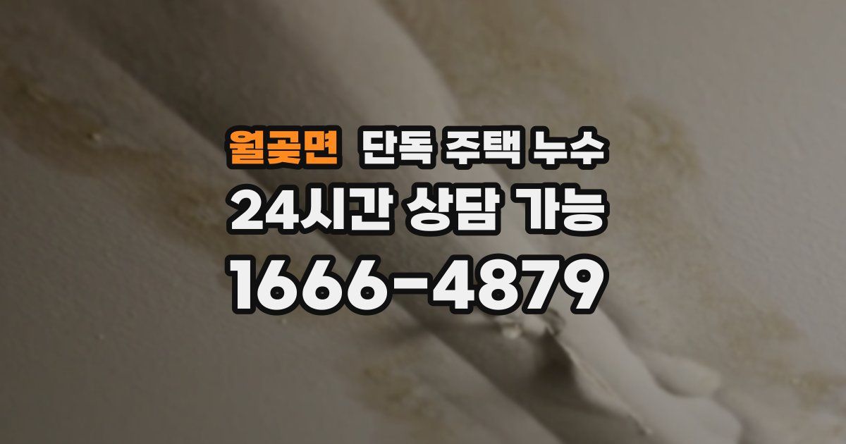 월곶면 단독 주택 누수