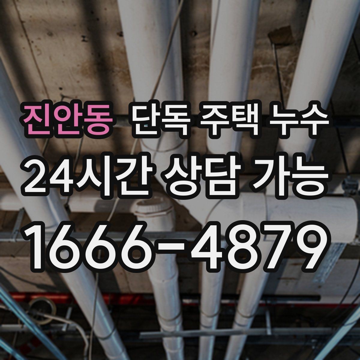 진안동 단독 주택 누수 장판 아래 물이 차오르는 느낌일 때