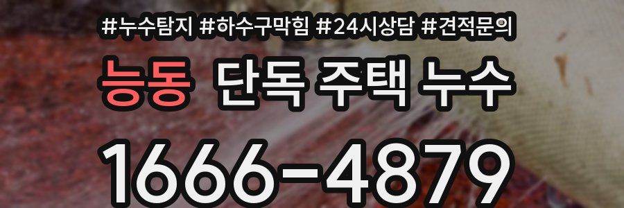 능동 단독 주택 누수