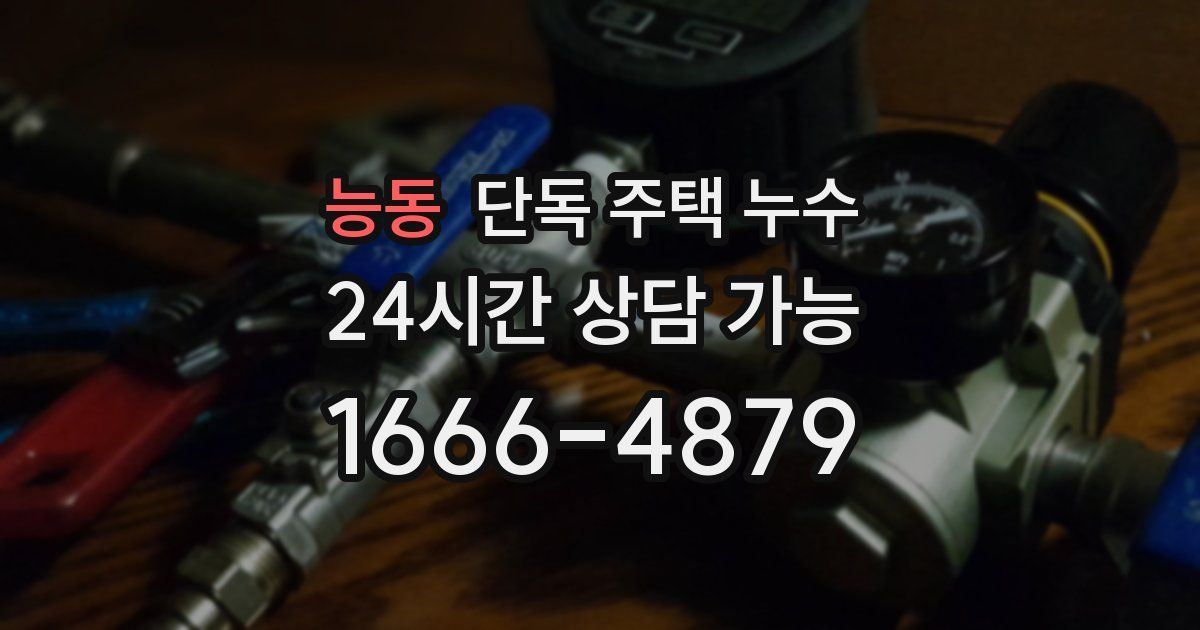 능동 단독 주택 누수