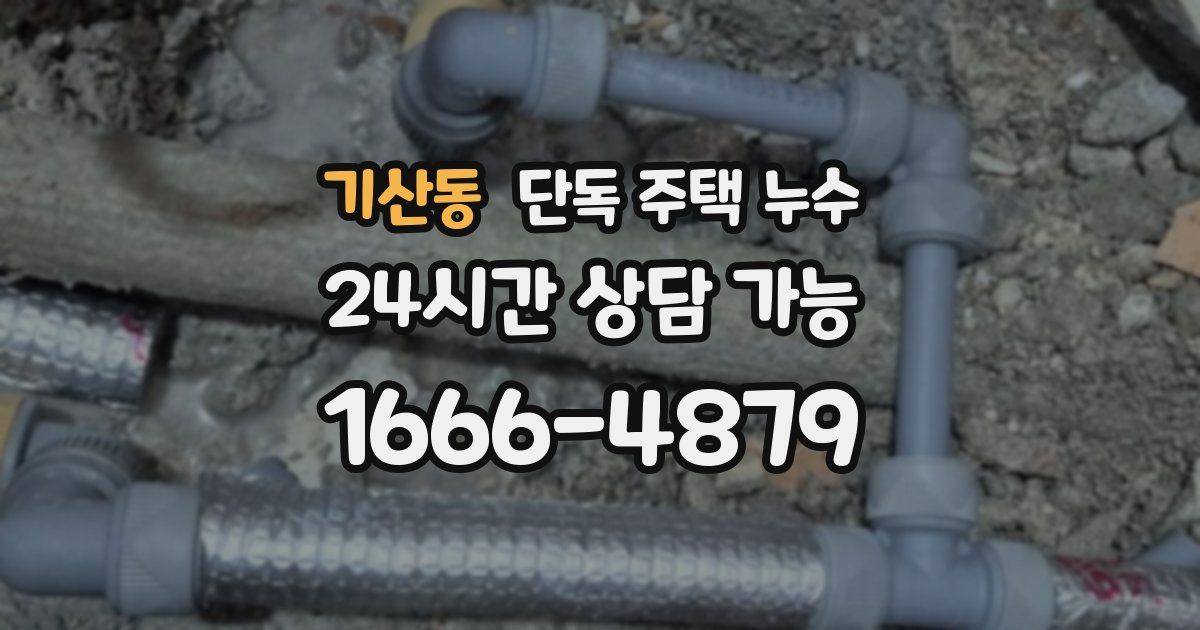 기산동 단독 주택 누수