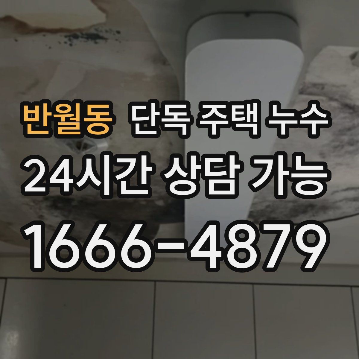 반월동 단독 주택 누수 인테리어 후 재발하면 어디부터 볼까