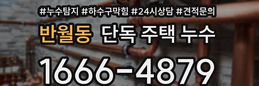 반월동 단독 주택 누수