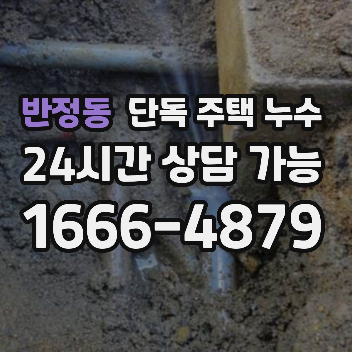 반정동 단독 주택 누수