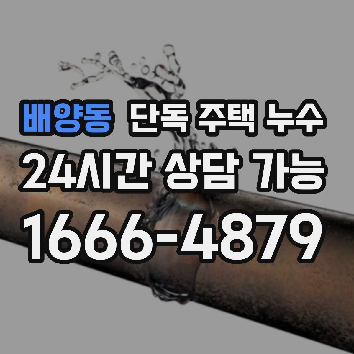 배양동 단독 주택 누수 마루 들뜸이 보이면 어떤 문제일까