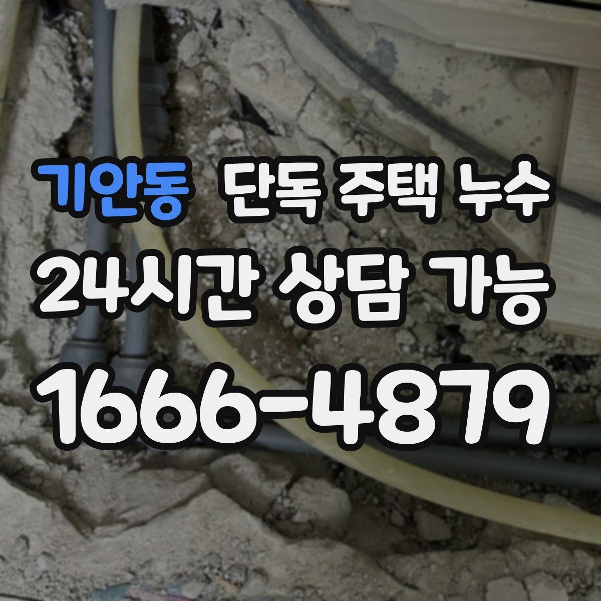 기안동 단독 주택 누수