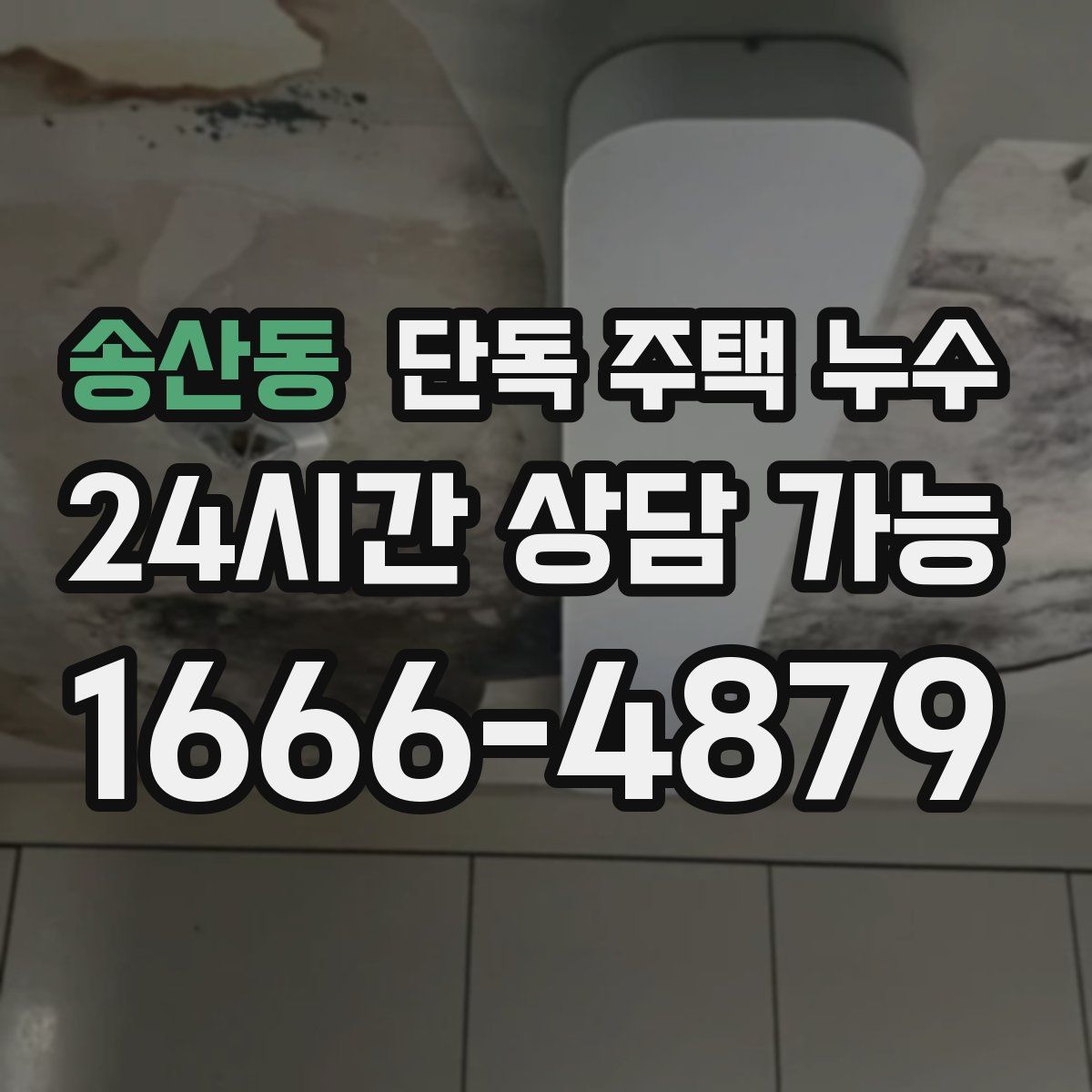 송산동 단독 주택 누수