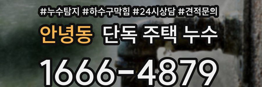 안녕동 단독 주택 누수