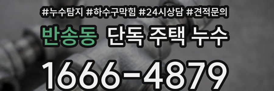 반송동 단독 주택 누수