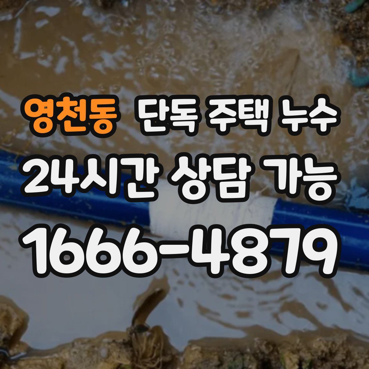 영천동 단독 주택 누수