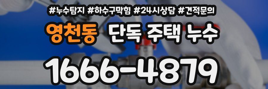 영천동 단독 주택 누수