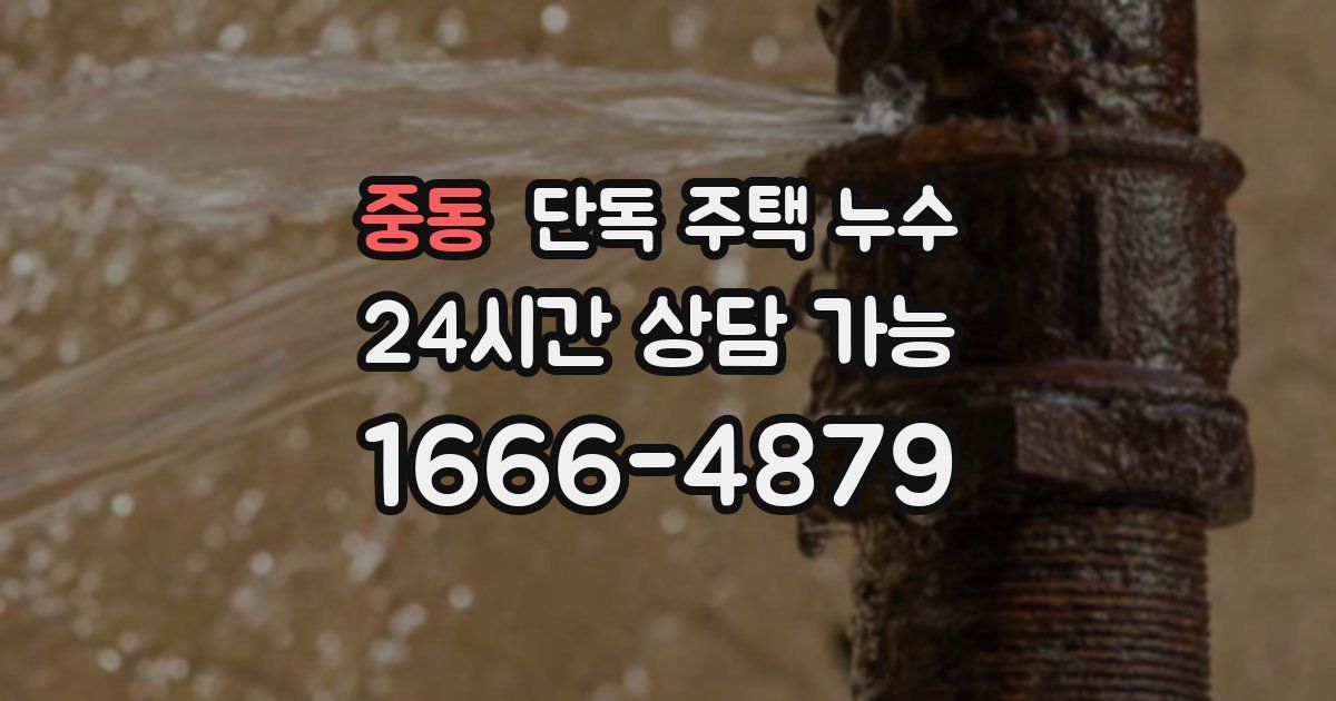 중동 단독 주택 누수