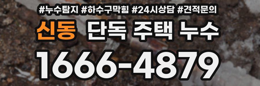 신동 단독 주택 누수