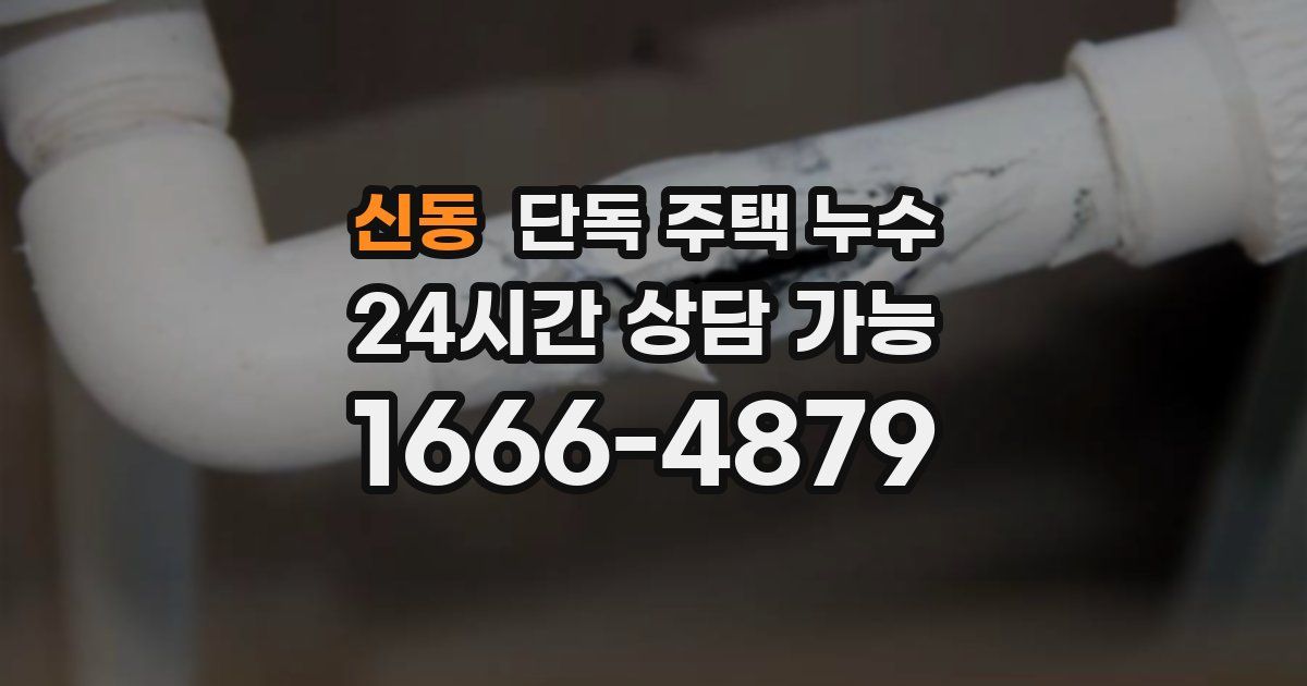 신동 단독 주택 누수