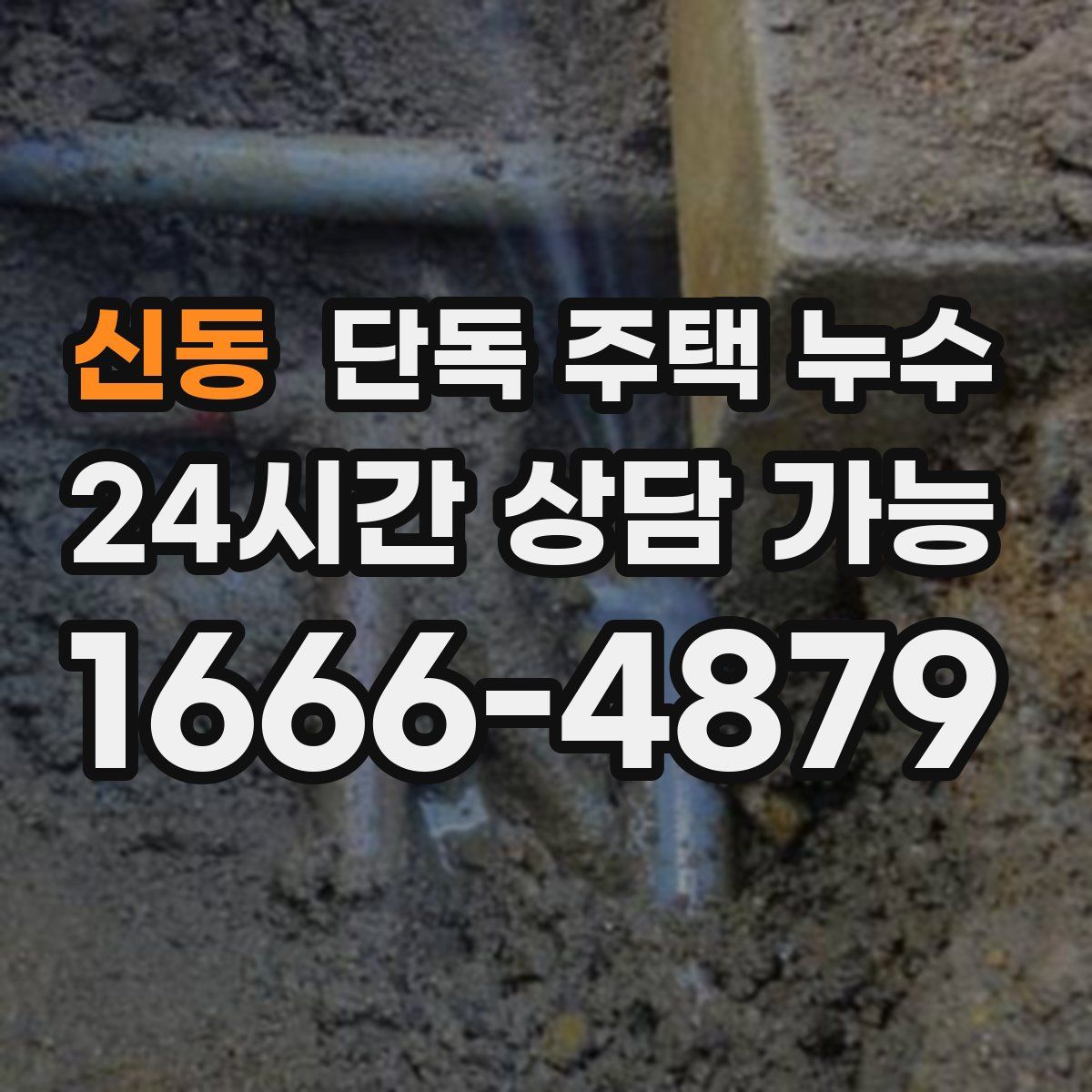 신동 단독 주택 누수