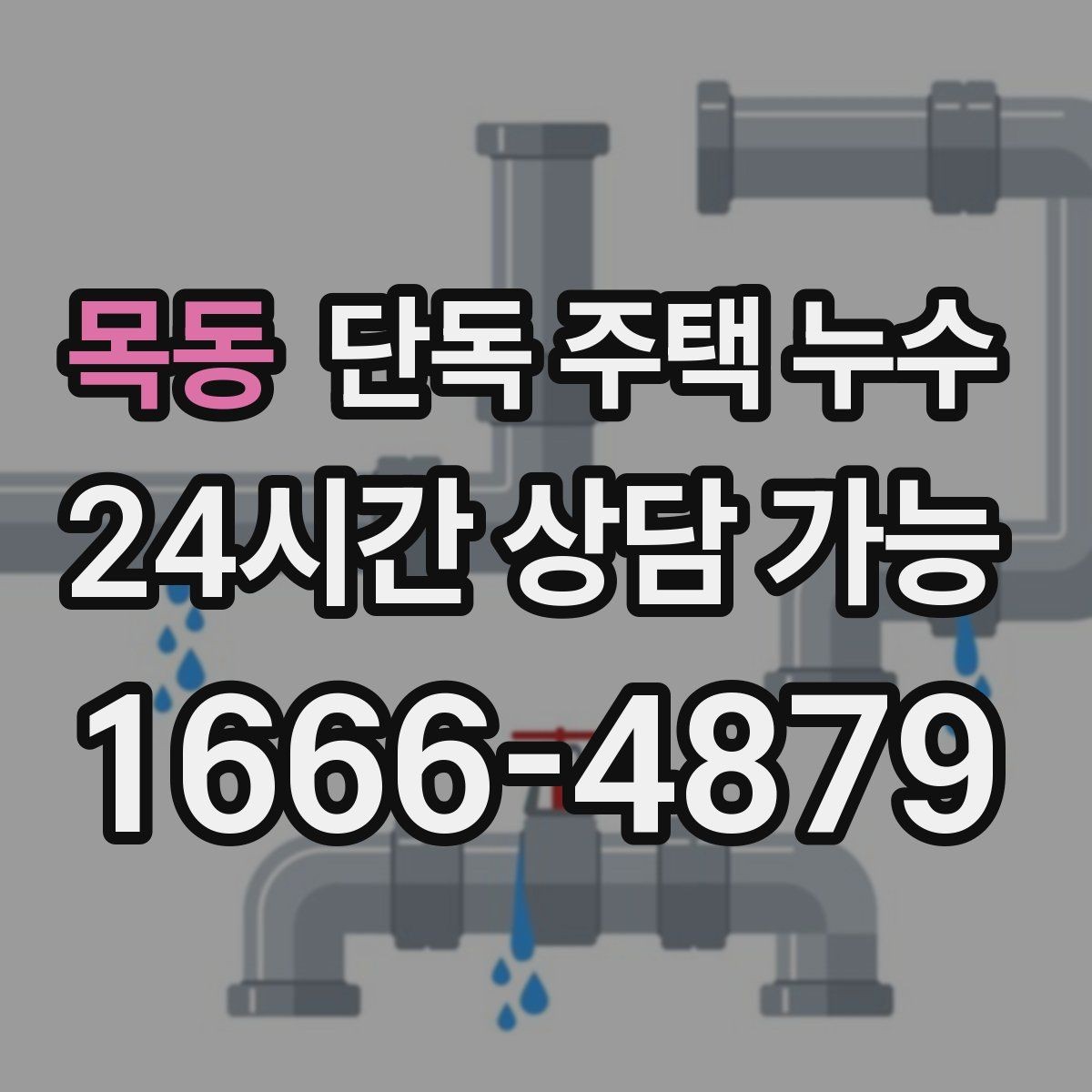 목동 단독 주택 누수 빗물받이 청소가 중요한 이유