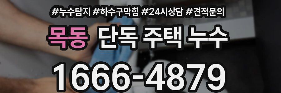 목동 단독 주택 누수