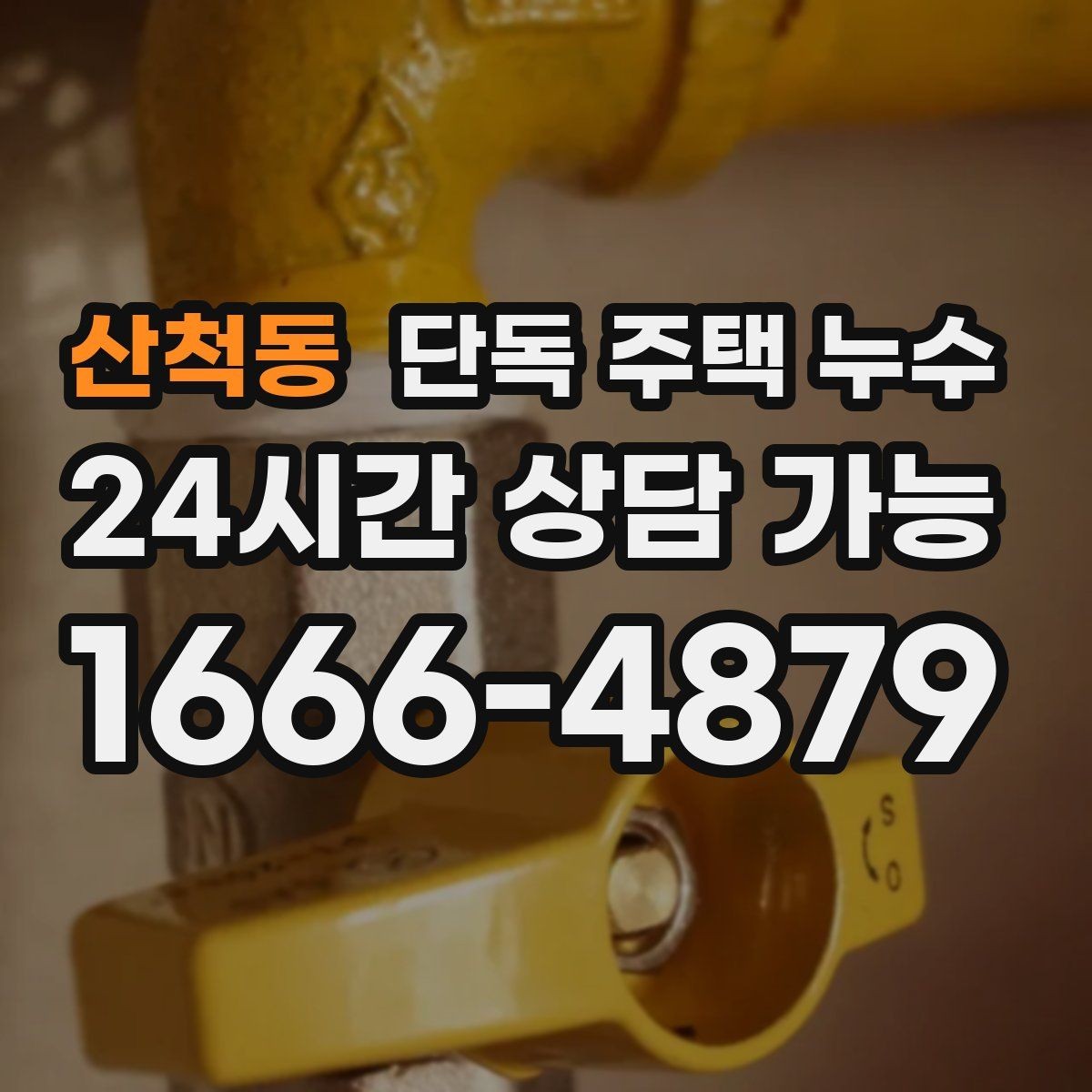 산척동 단독 주택 누수 실내 모서리 곰팡이가 띠처럼 생길 때
