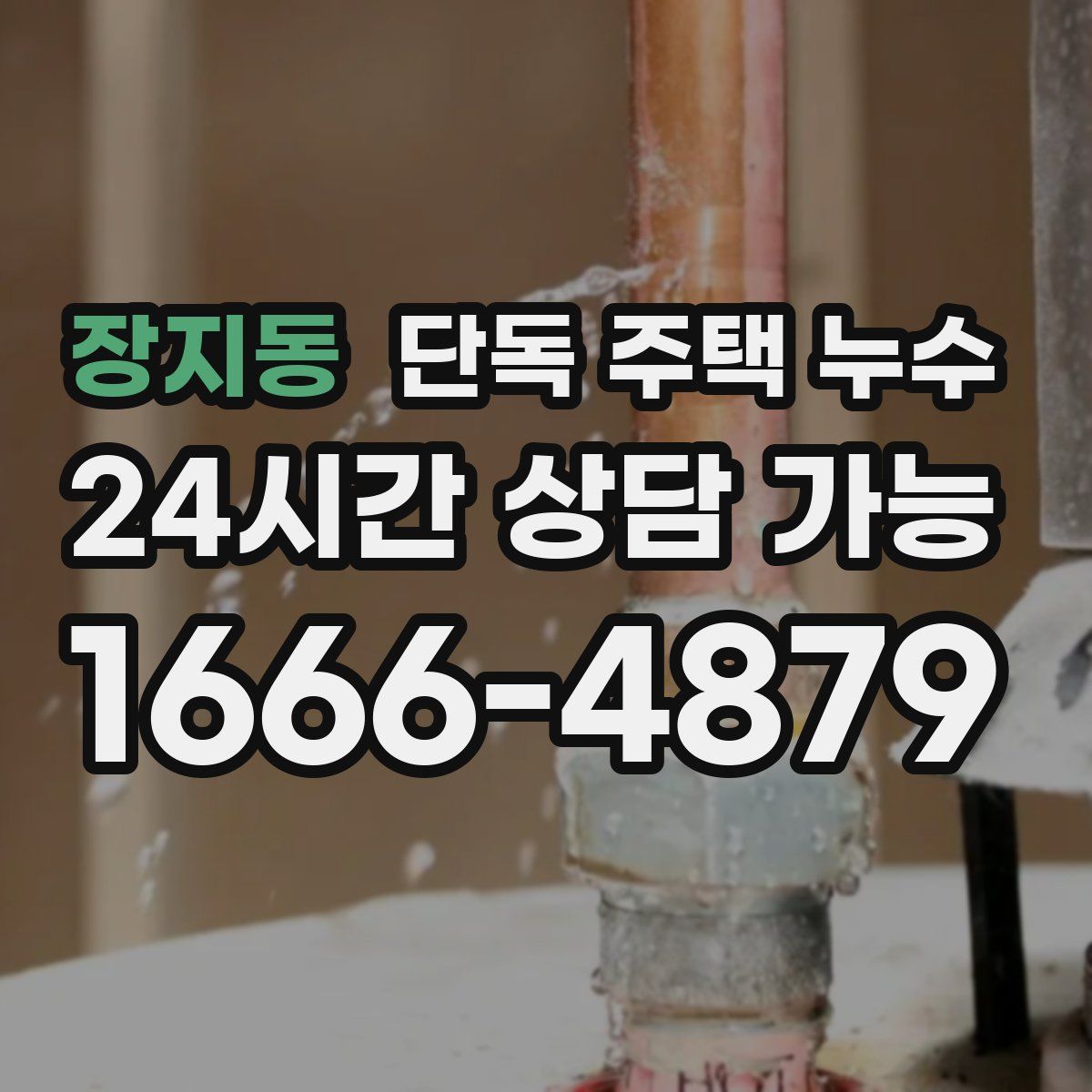 장지동 단독 주택 누수