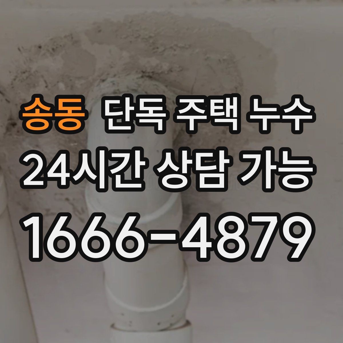 송동 단독 주택 누수 벽 하단만 젖는다면 배수 문제일까