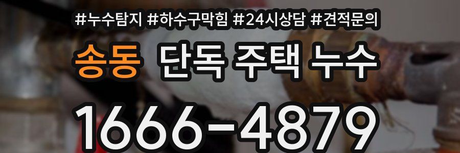 송동 단독 주택 누수