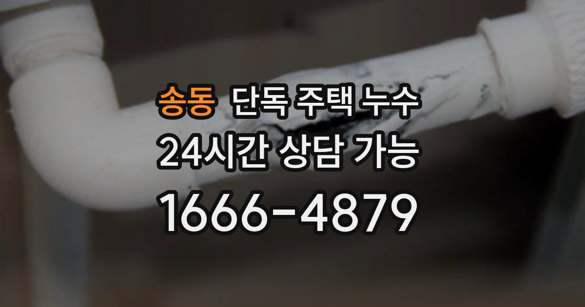 송동 단독 주택 누수