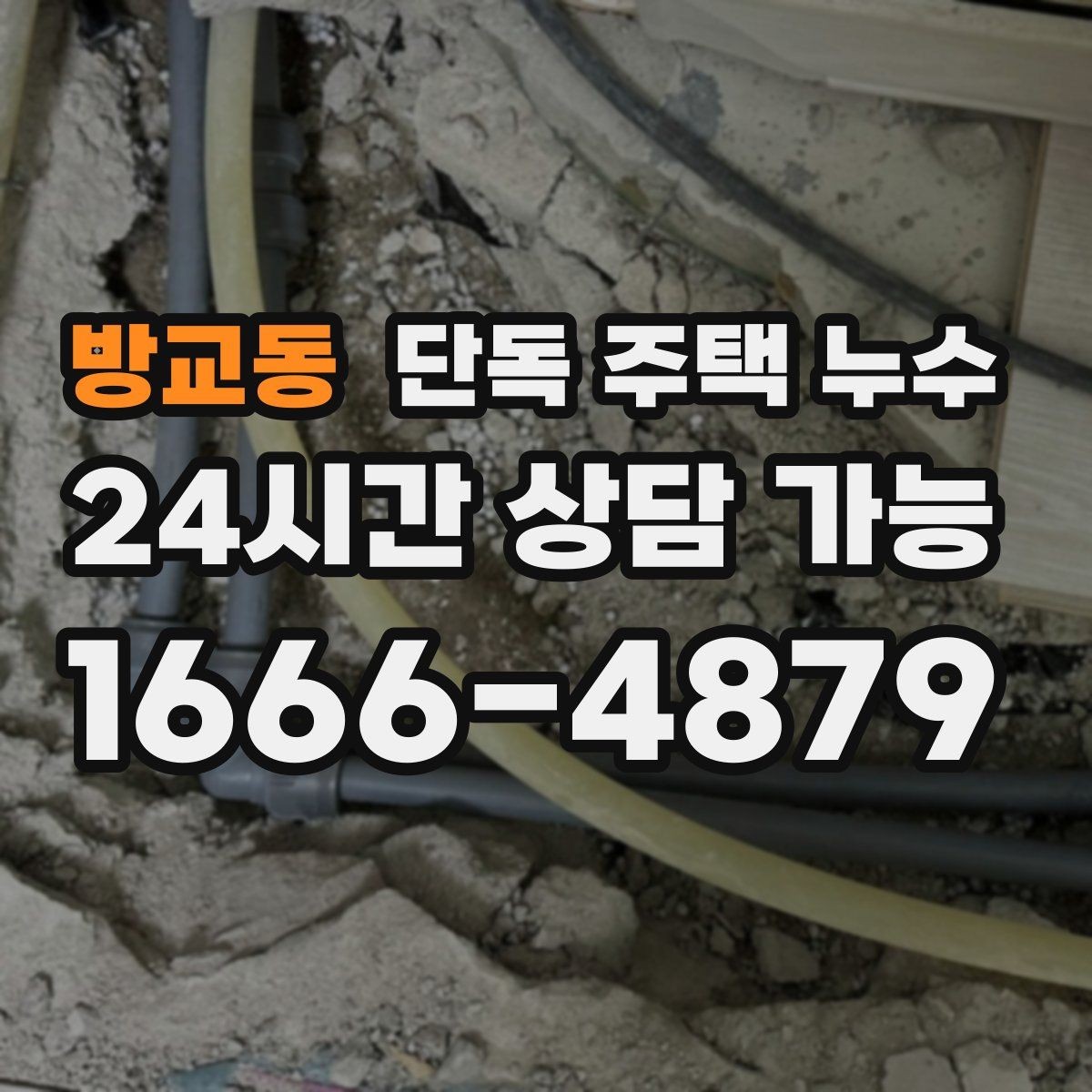 방교동 단독 주택 누수 벽지 속에서 젖은 냄새가 날 때
