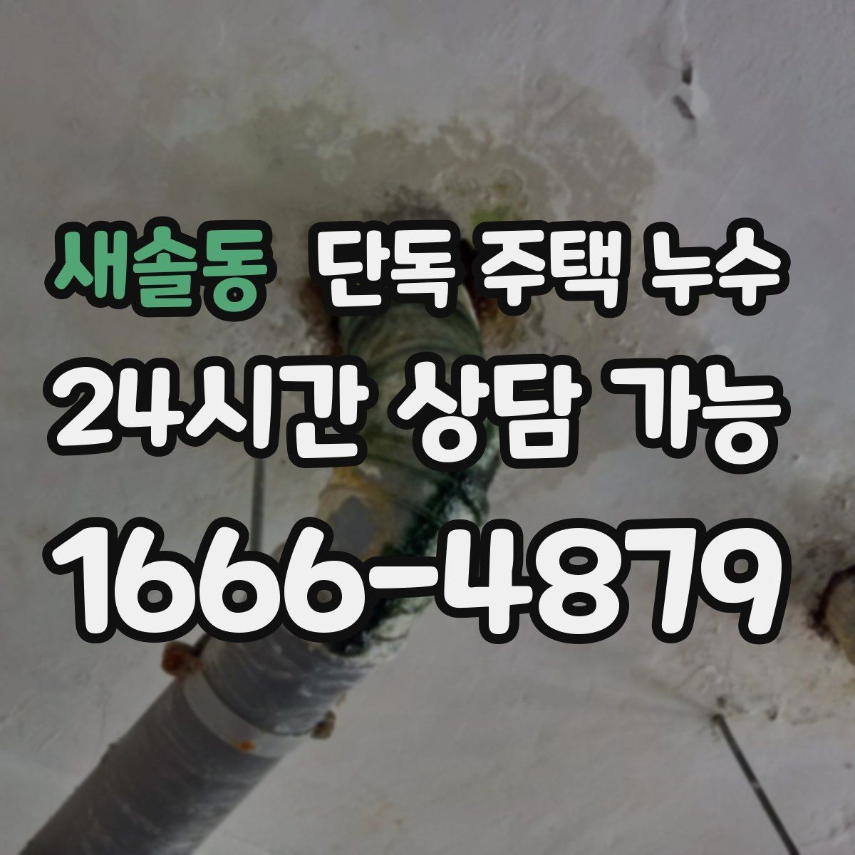 새솔동 단독 주택 누수 인테리어 후 재발하면 놓친 포인트가 있다