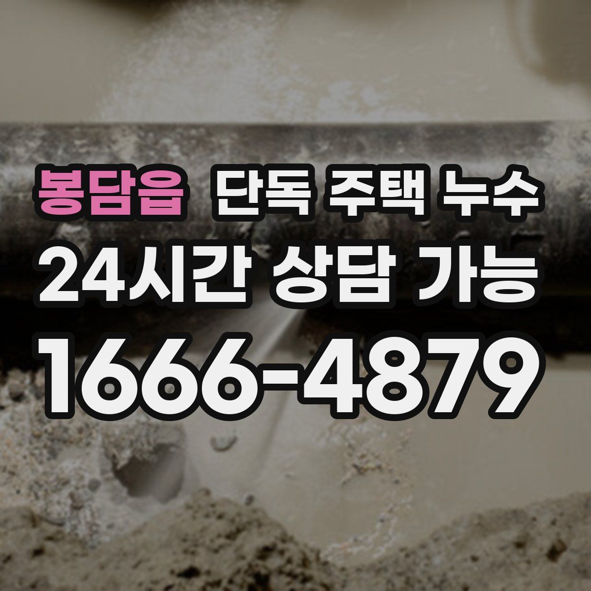 봉담읍 단독 주택 누수