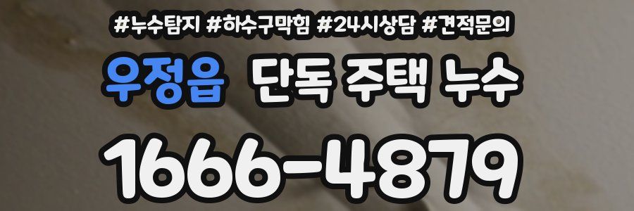 우정읍 단독 주택 누수